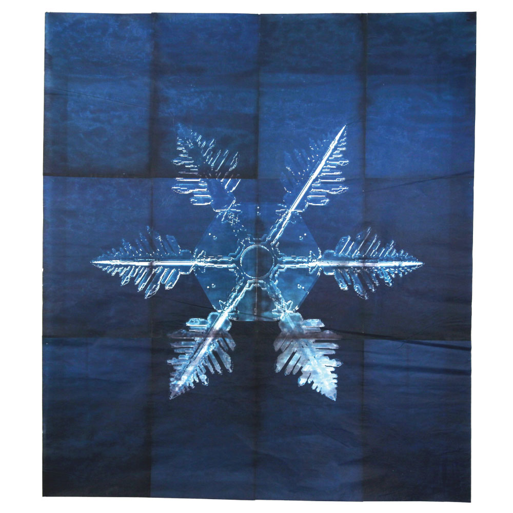 Cyanotype featuring the image of a snowflake.