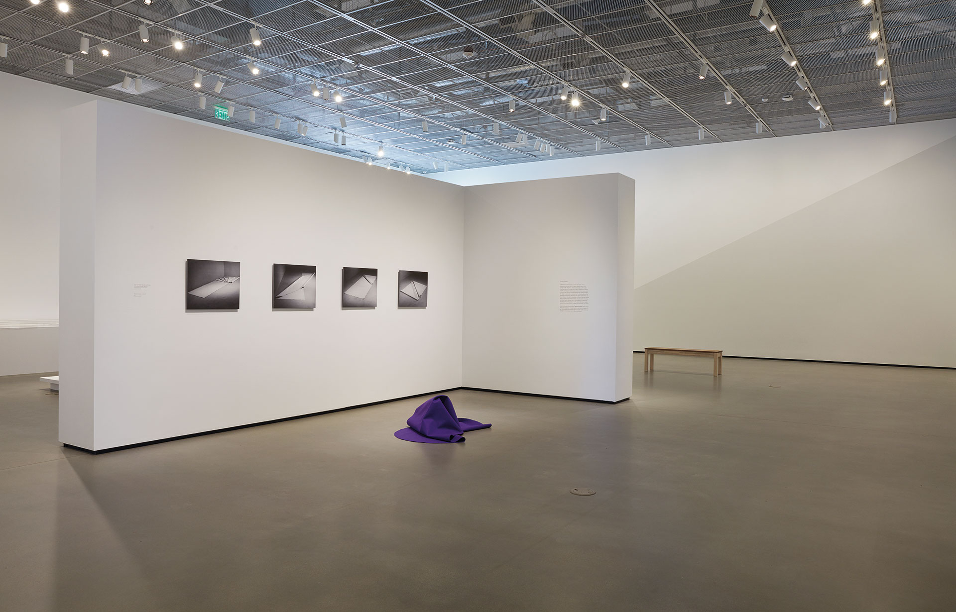 Art gallery with white walls, paintings on them and a purple cloth on the floor.