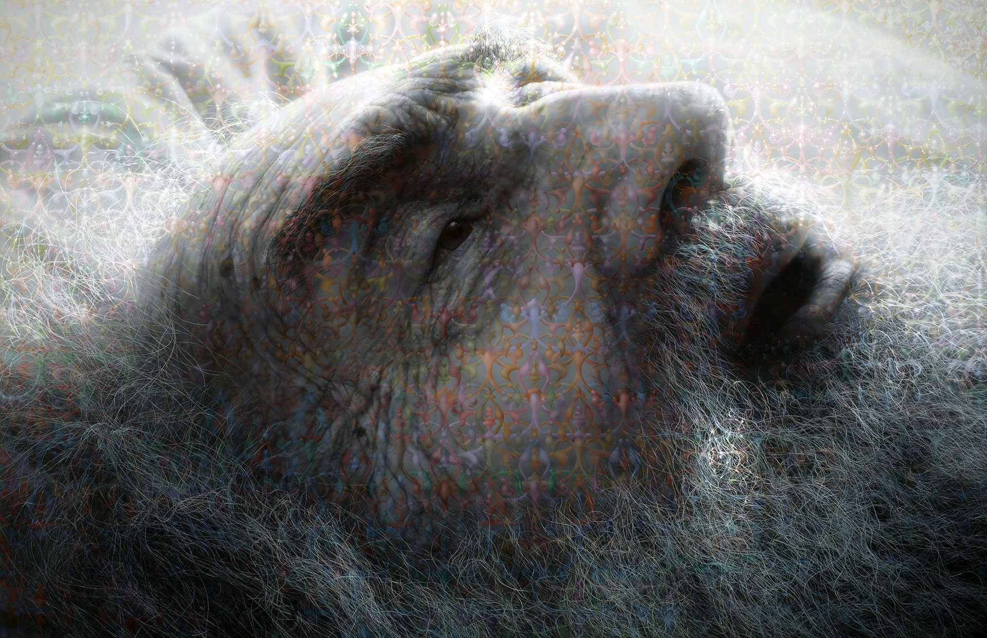 Painting of elderly bearded man laying on pillow.