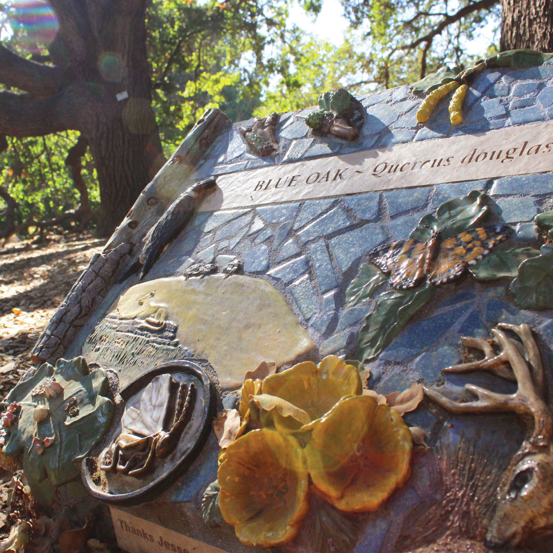 Mosaic art piece showing various plants and animals along with the name of the oak tree it's installed by in the Arboretum.