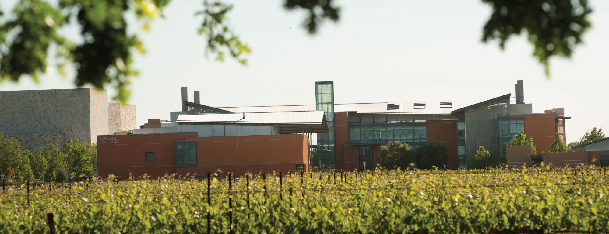 Building with vineyard in foreground on sunny day.