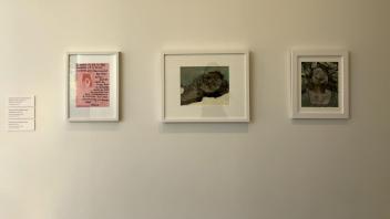 Three pieces of art hung on the wall in the museum. 
