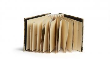 Gaps, Front view with pages, 2021, Photograph by Cleber Bonato