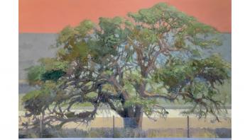 Fredric Hope, California Oak Tree Series - #004, 2020. Oil on canvas, 24 1/2 x 36 1/2 in. (62.2 x 92.7 cm). Courtesy The Tollefsrud/Maquilan Collection. © Fredric Hope