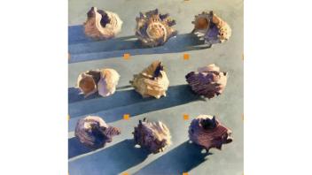 Fredric Hope, Social Distance, 2020. Oil on panel, 15 x 15 in. (38.1 x 38.1 cm). Collection of the artist. © Fredric Hope.