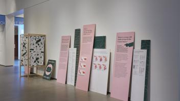 2019 Graduate Exhibition