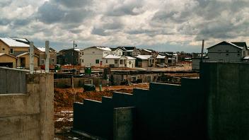 Transplants, 2021, 35mm film series.