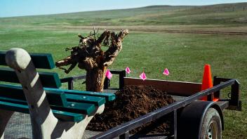 Transplant Module, 2021, 35mm film series. Utility trailer; replica of an NYC park bench; lodgepole pine roots; soil from a construction site; traffic cone; road barrier; survey flags; open prairie.