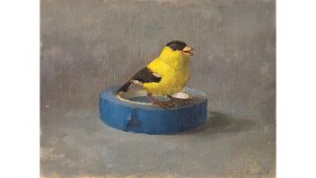 April Glory Funcke, Singing Goldfinch, 2011.