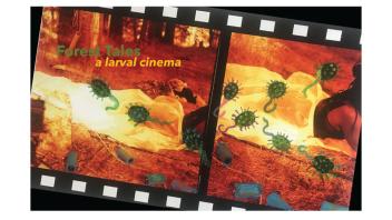 Artwork by Anuj Vaidya with the words 'Forest Tales: A larval cinema'.