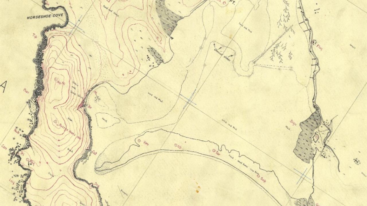 Bodega Bay Map: 1930s survey map of Bodega Bay in which seagrass beds are illustrated along water/land boundaries as well as indications of noticeable “sand and mud” (tidal flats) in the middle of the harbor during low tides.