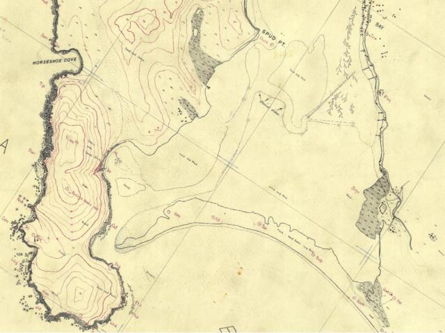 Bodega Bay Map: 1930s survey map of Bodega Bay in which seagrass beds are illustrated along water/land boundaries as well as indications of noticeable “sand and mud” (tidal flats) in the middle of the harbor during low tides.
