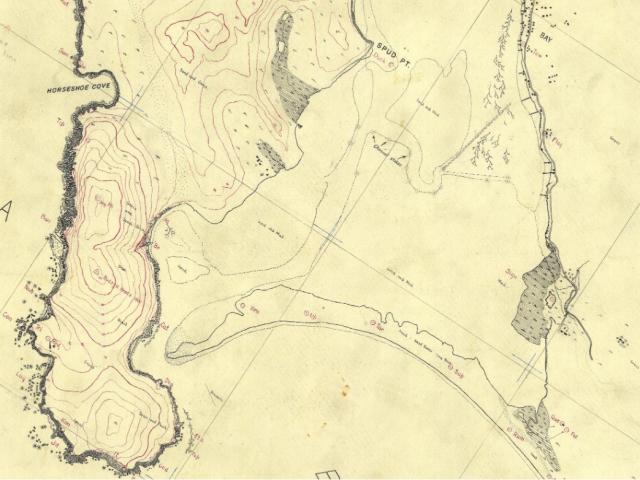 Bodega Bay Map: 1930s survey map of Bodega Bay in which seagrass beds are illustrated along water/land boundaries as well as indications of noticeable “sand and mud” (tidal flats) in the middle of the harbor during low tides.