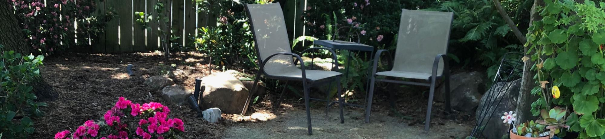 Two chairs in a shady back yard.