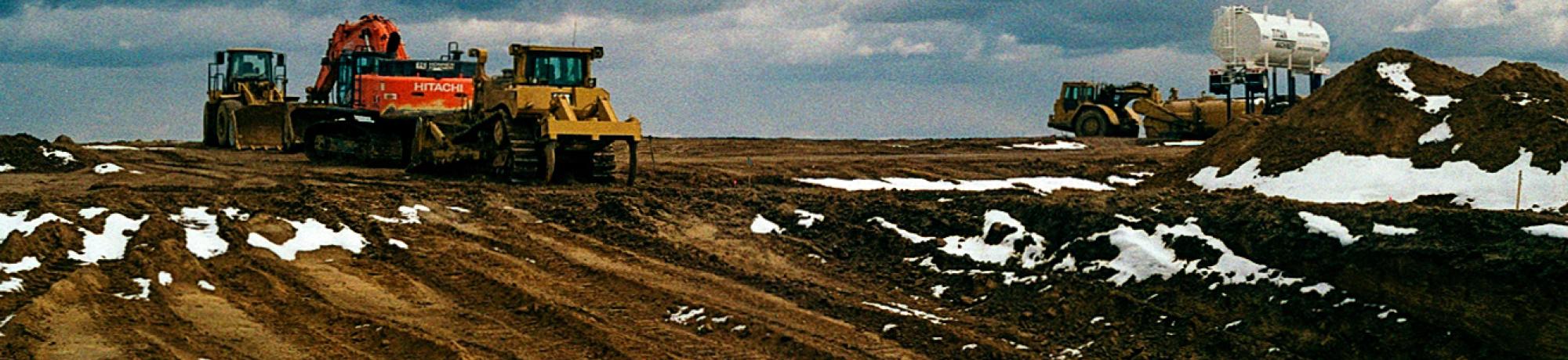 Transplants, 2021, 35mm film series.