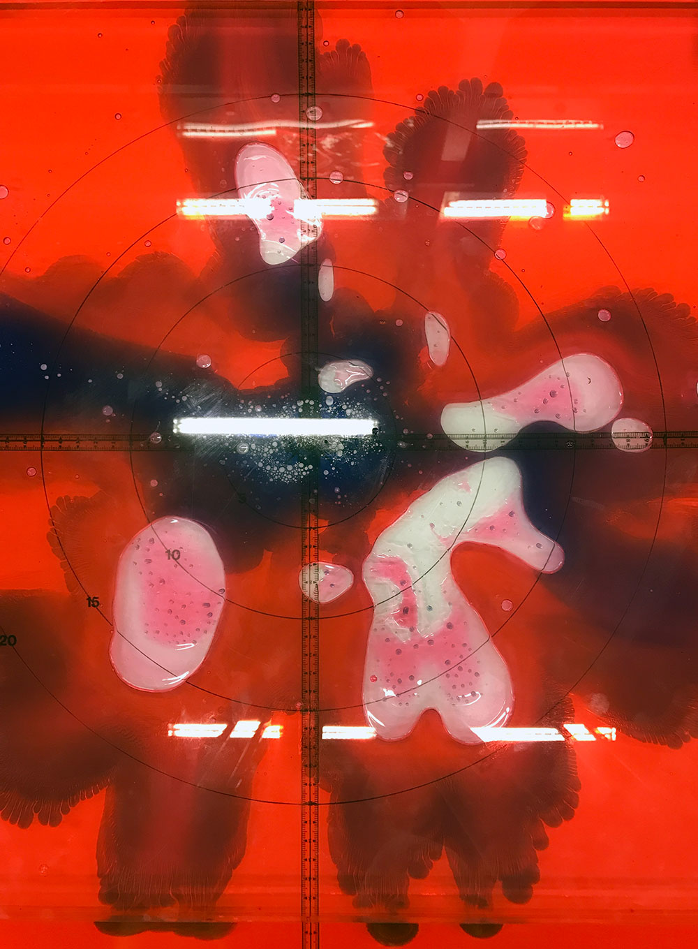 Photo of white and black blobs on red background.
